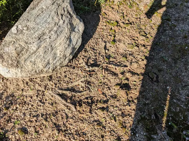 作業外注一切なし◎損害保険に加入済み◎何でも当店へお任せください！サービスの画像