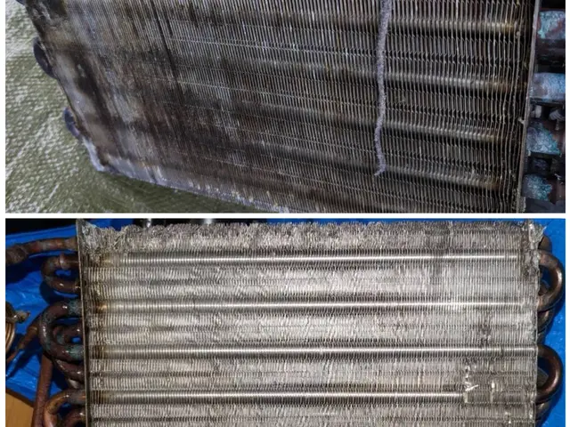 【3度テレビ出演】全機種できます！◇犬猫大歓迎◇乾燥のお悩みお任せください★サービスの画像