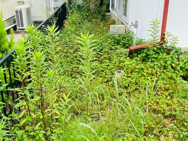 雑草処理 お困りの方必見♪サービスの画像