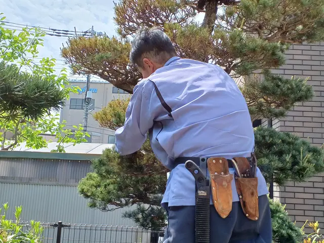 【業歴25年の実績】一級造園技能士◎熟練職人が迅速丁寧に仕上げます！サービスの画像