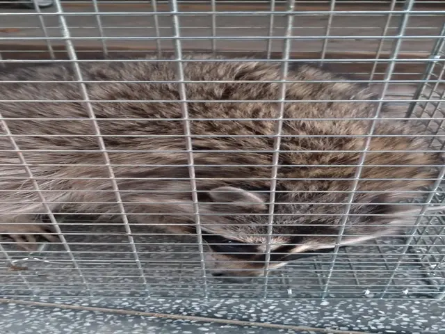 【業界14年の豊富な経験あり！】年中無休◎当社のプロ集団が全て対応いたします！サービスの画像