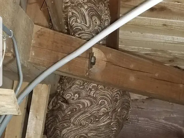 24時間受付可能！蜂の巣駆除はお任せを♪時間外緊急対応、アフターフォロー付き！サービスの画像