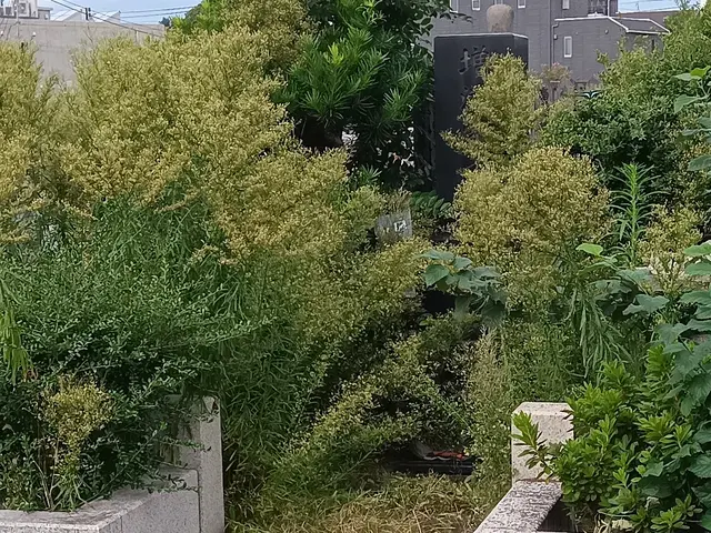 墓参り代行　宗派不問　僧侶と墓地清掃担当の計ニ名で行う【敬活[けいかつ]】業務。サービスの画像