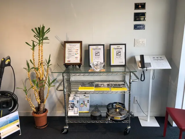 パワフルなドイツ製機材でリフレッシュ洗浄！ホコリ排ガスを落とし清潔な状態へ復旧！サービスの画像