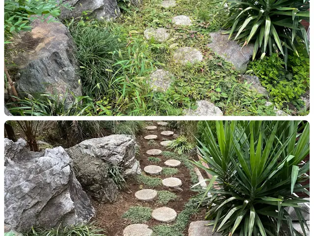 R7.9新規出店◎草むしり・手作業による丁寧な除草【女性職人】【相模原市】サービスの画像