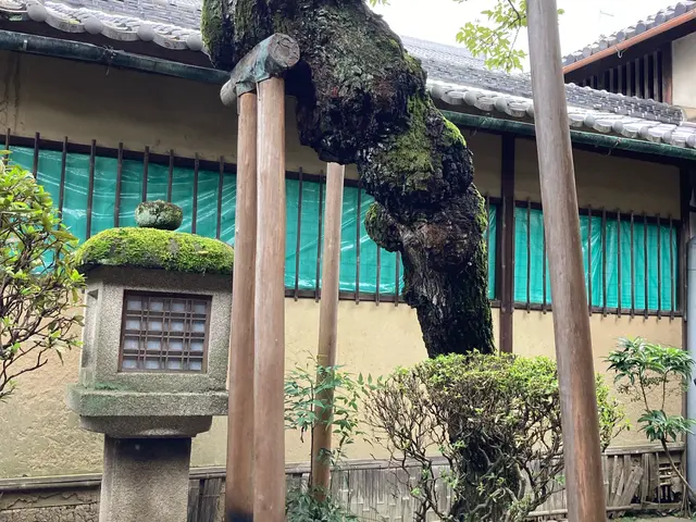 新植・移植のご提案からお庭のプランニングも行います。 初めてのご利用のお客様でもサービスの画像