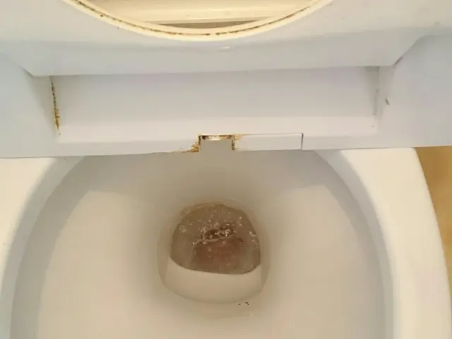 【損保加入済】見えない所まで一生懸命やります！女性スタッフ同行もOK！サービスの画像