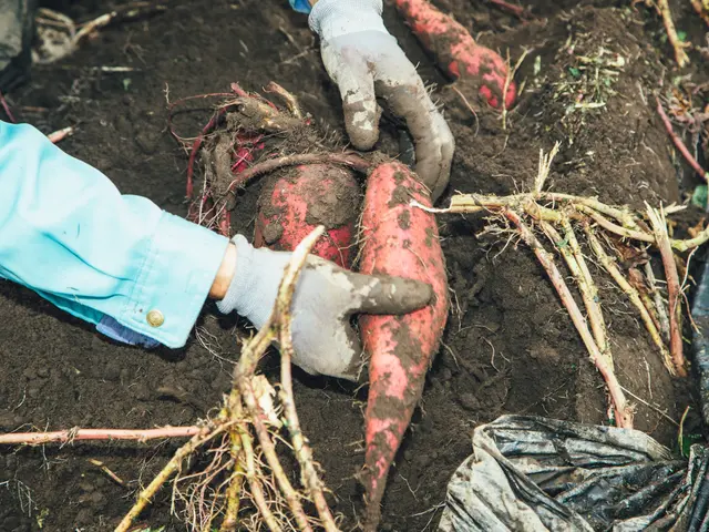 案件単位でお引き受け致します。時間は気にせずその日は丸々対応致します！！