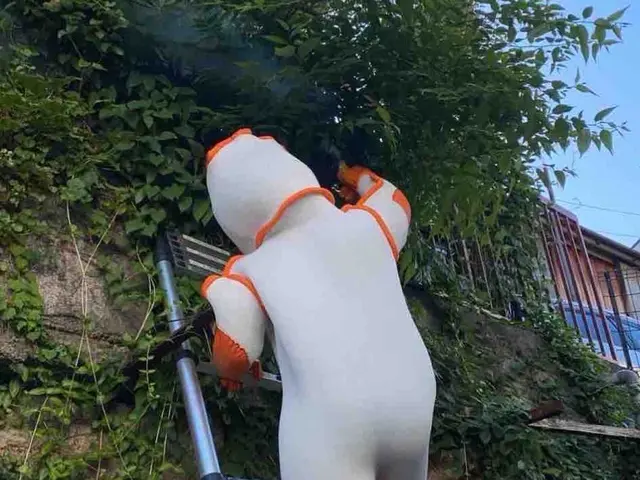 安全、安心、迅速をもっとうにお仕事をさせて頂きますサービスの画像