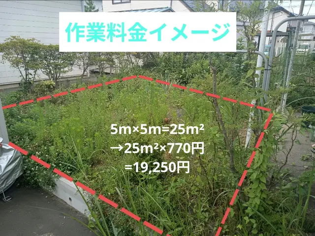 最短当日！女性対応可！大切なお庭をスッキリ草むしり★サービスの画像