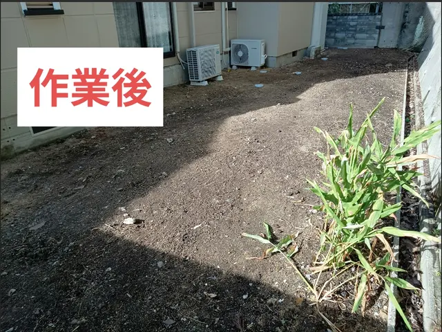 最短当日！女性対応可！大切なお庭をスッキリ草むしり★サービスの画像