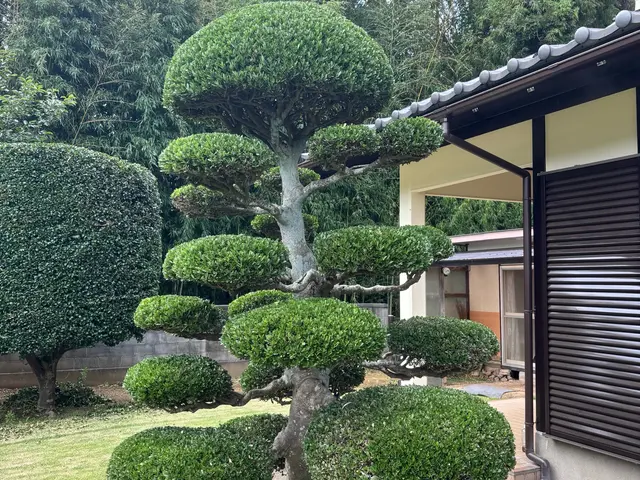 ◎年中無休◎予約から作業まで100%自社対応◎女性スタッフ同行可能サービスの画像