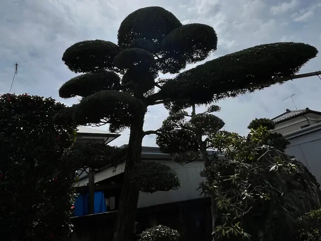 ◎年中無休◎予約から作業まで100%自社対応◎女性スタッフ同行可能サービスの画像