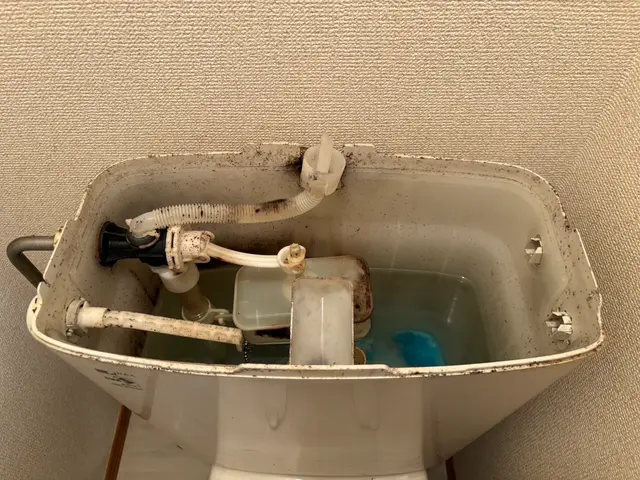 【年中無休・土日祝もご予約大歓迎！】丁寧さにこだわった高リピート率のサービス！損サービスの画像