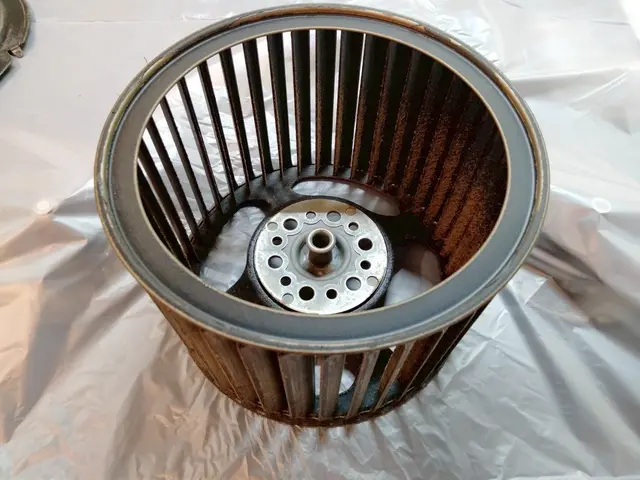 【モニター価格！】セットがお得！カビも水アカも徹底除去！サービスの画像