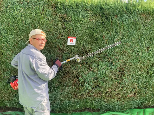 愛知県全域対応できます　　2級造園施工管理技士所得　お庭のお手入れから掃除までサービスの画像