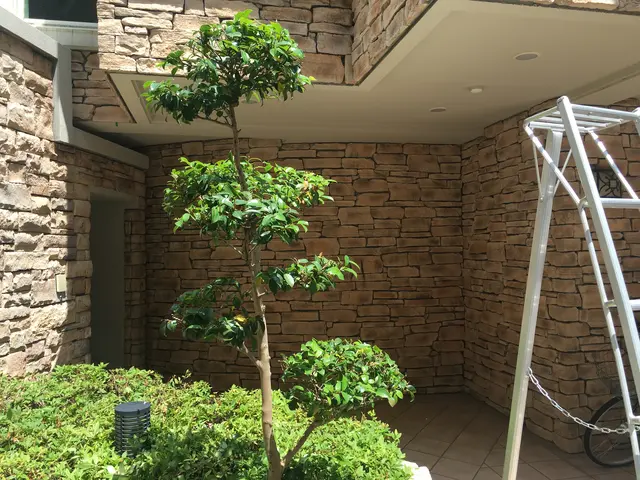 愛知県全域対応できます　　2級造園施工管理技士所得　お庭のお手入れから掃除までサービスの画像