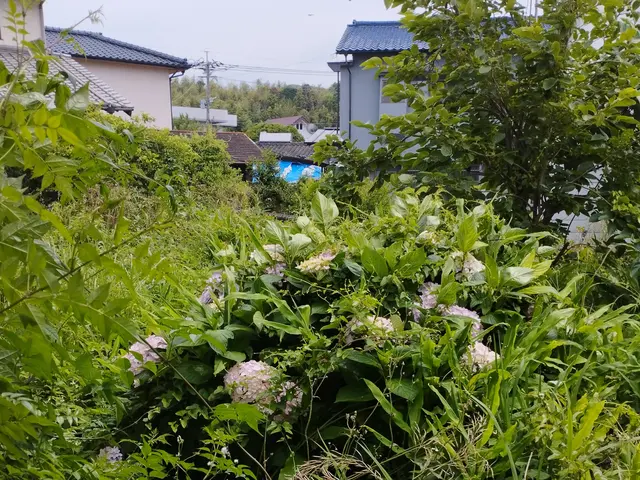 騒音の静かな電動草刈機使用・草刈り・草むしり・伐採作業承っております。サービスの画像