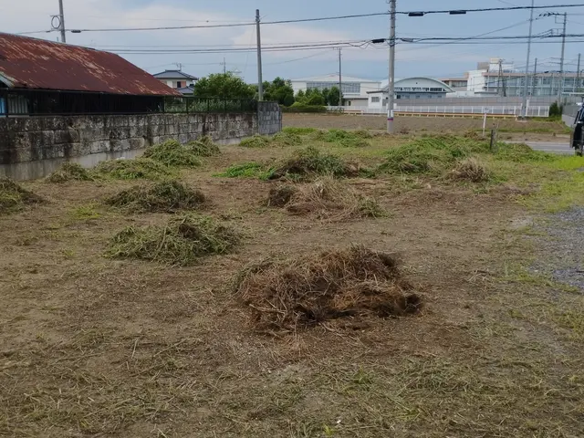 騒音の静かな電動草刈機使用・草刈り・草むしり・伐採作業承っております。サービスの画像