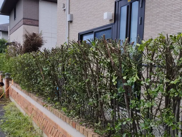 騒音の静かな電動草刈機使用・草刈り・草むしり・伐採作業承っております。サービスの画像