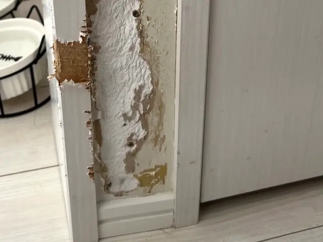 お客様のお力になります！経験と知識を活かして迅速丁寧に作業いたしますサービスの画像