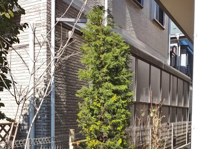 植木屋ふくちゃん　「１、２本だけ、とにかく短く〜」そんなご依頼もOKです！サービスの画像