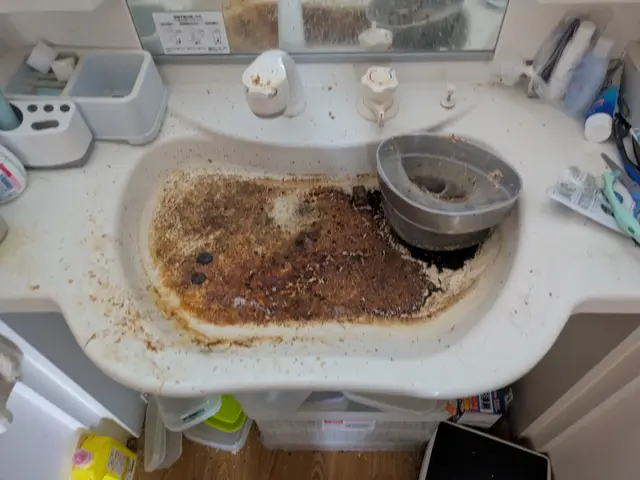 こころわの家事代行サービス　暮らしのマーケット出店記念セールサービスの画像