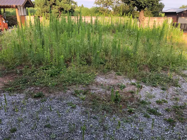 鳥取県西部で活動しています。お客様のご要望通りの仕上がりかしっかり確認します！サービスの画像