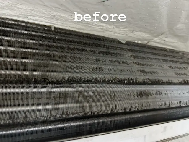 【大手企業と取引あり】【徹底洗浄！】ペットも子供も安心の【洗剤】★サービスの画像