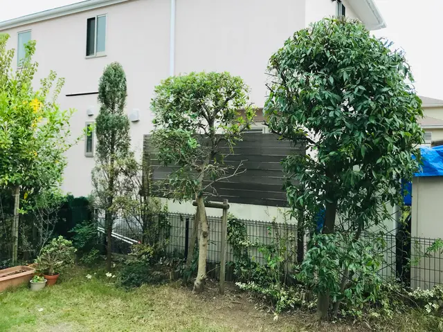 プロの技術でご満足いただけるように心を込めて作業いたしますサービスの画像