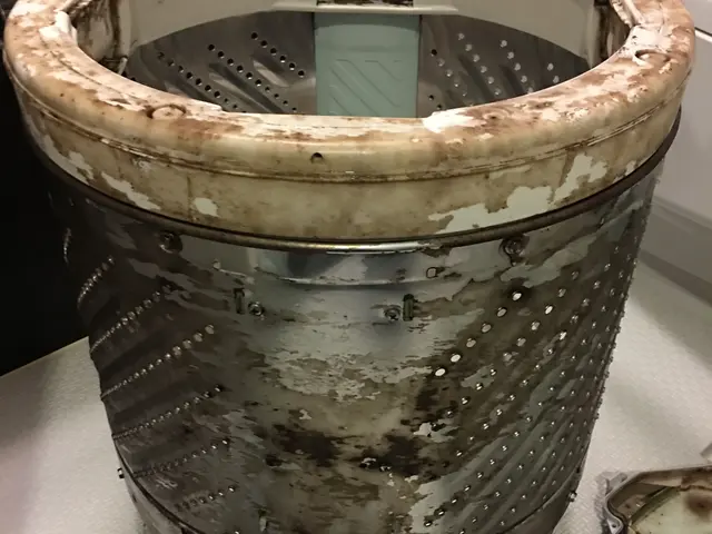 ＜損保加入済＞カビや菌からあなたの家族を守ります！サービスの画像