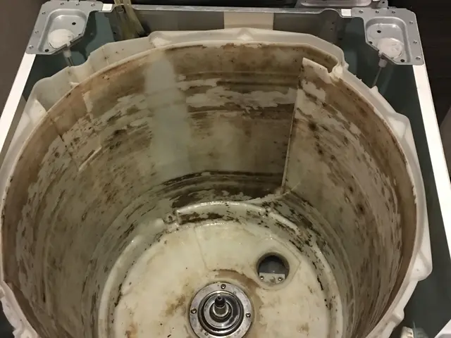 ＜損保加入済＞カビや菌からあなたの家族を守ります！サービスの画像