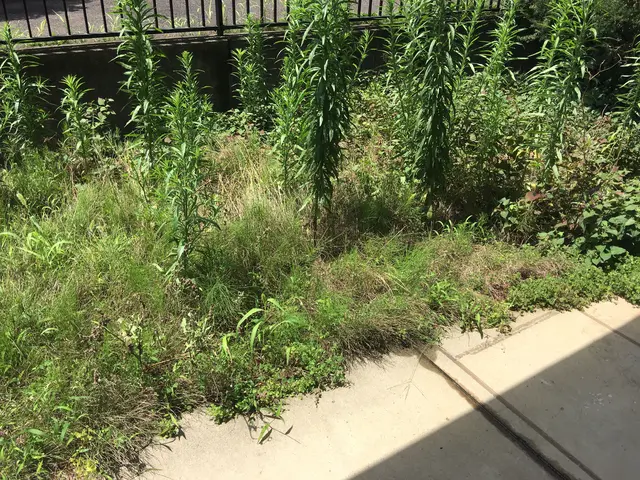 【完全自社施工】営業時間外のご相談可。ご要望に沿った作業・提案を行います◎サービスの画像