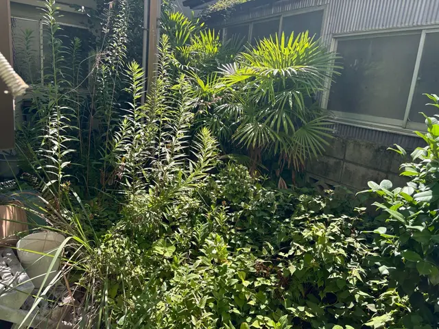 近隣の方への配慮も欠かしません◎損保加入、作業外注一切なし◎お気軽にご相談下さいサービスの画像