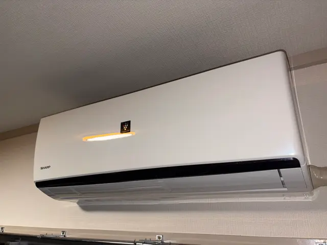 3月11日新規出店【写真本人が訪問】汚れを徹底除去★迅速かつ丁寧に作業致しますサービスの画像