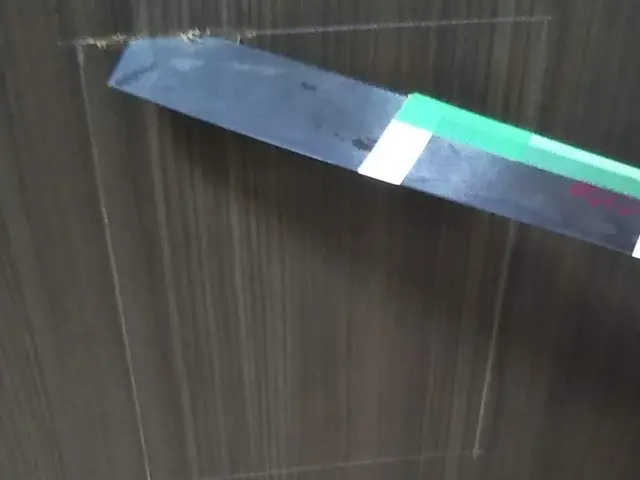 木製扉にペット扉取付◆paypayクレカ対応◆店長の私が伺います☆彡冷暖房節約！サービスの画像