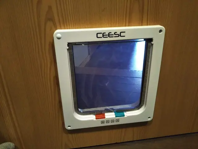 木製扉にペット扉取付◆paypayクレカ対応◆店長の私が伺います☆彡冷暖房節約！サービスの画像