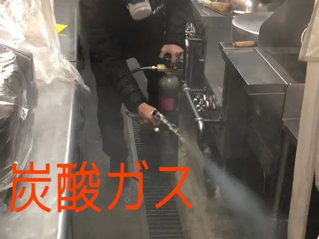 チョウバエ駆除ならお任せください！発生元を調査し泡（ムース）施工致しますサービスの画像