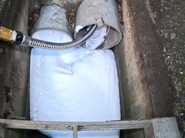 チョウバエ駆除ならお任せください！発生元を調査し泡（ムース）施工致しますサービスの画像