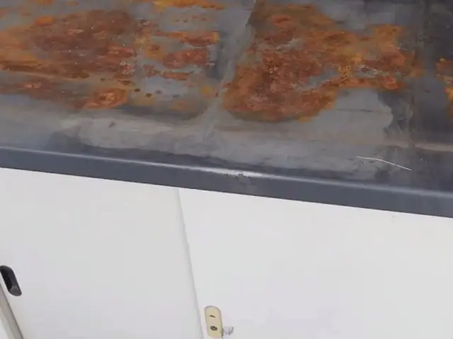 ◆即レス・即対応・無料見積OK◆物置の『色褪せ・サビ』も塗装でキレイに復活！！サービスの画像