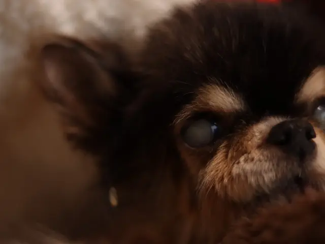 〝一生の宝物〟そんな瞬間を大切に撮影します。50カット以上納品