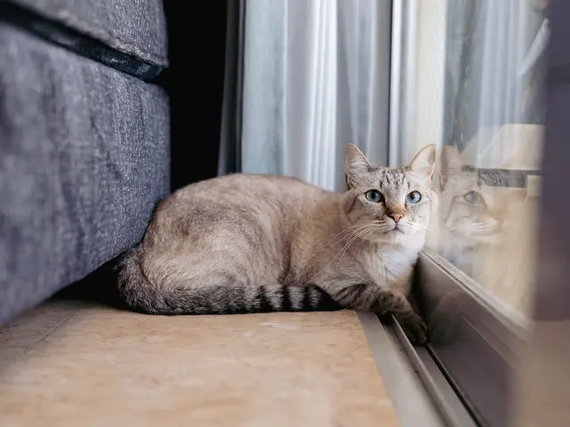 〝一生の宝物〟そんな瞬間を大切に撮影します。50カット以上納品