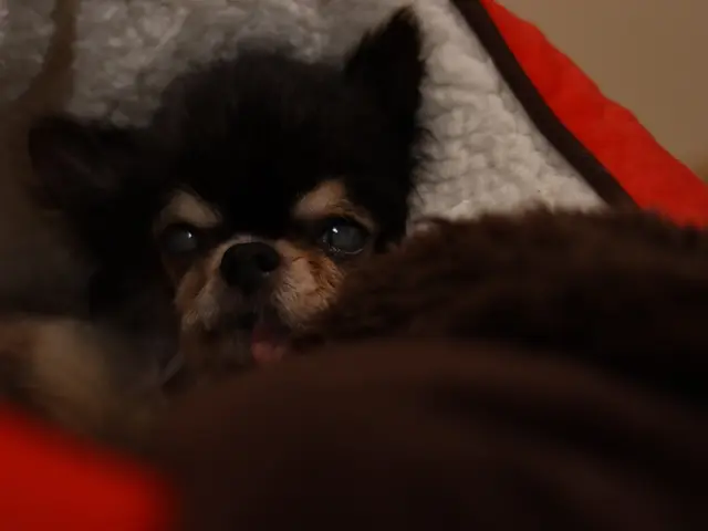 〝一生の宝物〟そんな瞬間を大切に撮影します。50カット以上納品