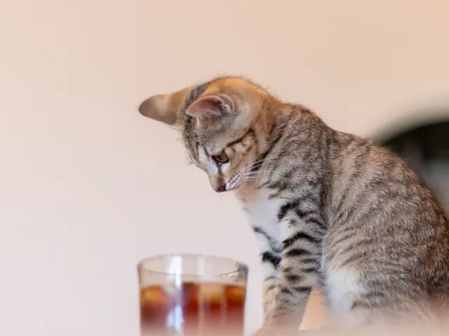 〝一生の宝物〟そんな瞬間を大切に撮影します。50カット以上納品