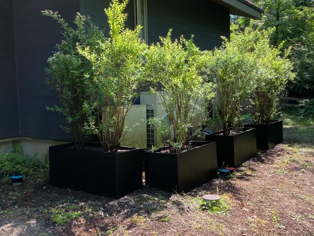 プロの技術でご満足いただけるように心を込めて作業いたしますサービスの画像