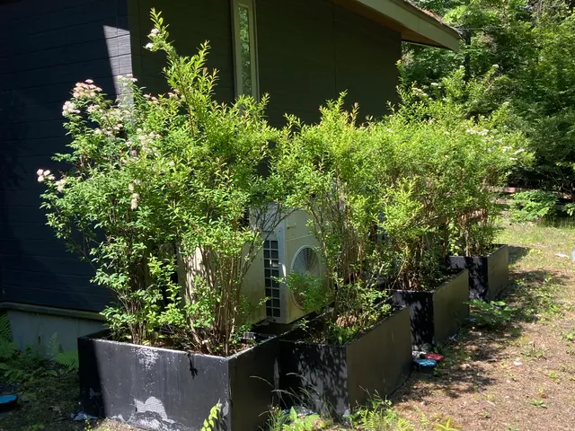 プロの技術でご満足いただけるように心を込めて作業いたしますサービスの画像