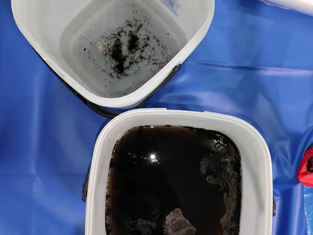 ◆年中無休◆大手業務経験あり◆アフターフォローもばっちり◆損害保険加入店サービスの画像