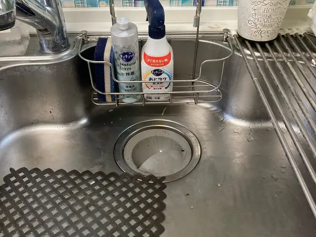 【クリンネスト1級】水回り得意。12月は満員御礼！1月より4000円に変更しますサービスの画像