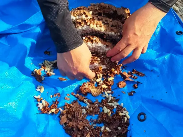 プロの技術でご満足いただけるように心を込めて作業いたしますサービスの画像