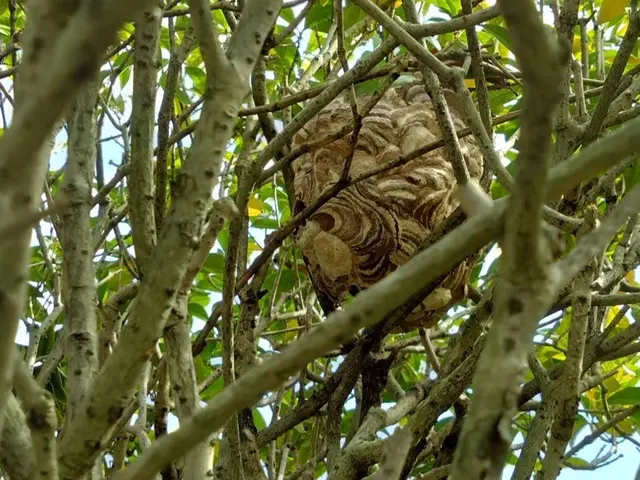 プロの技術でご満足いただけるように心を込めて作業いたしますサービスの画像